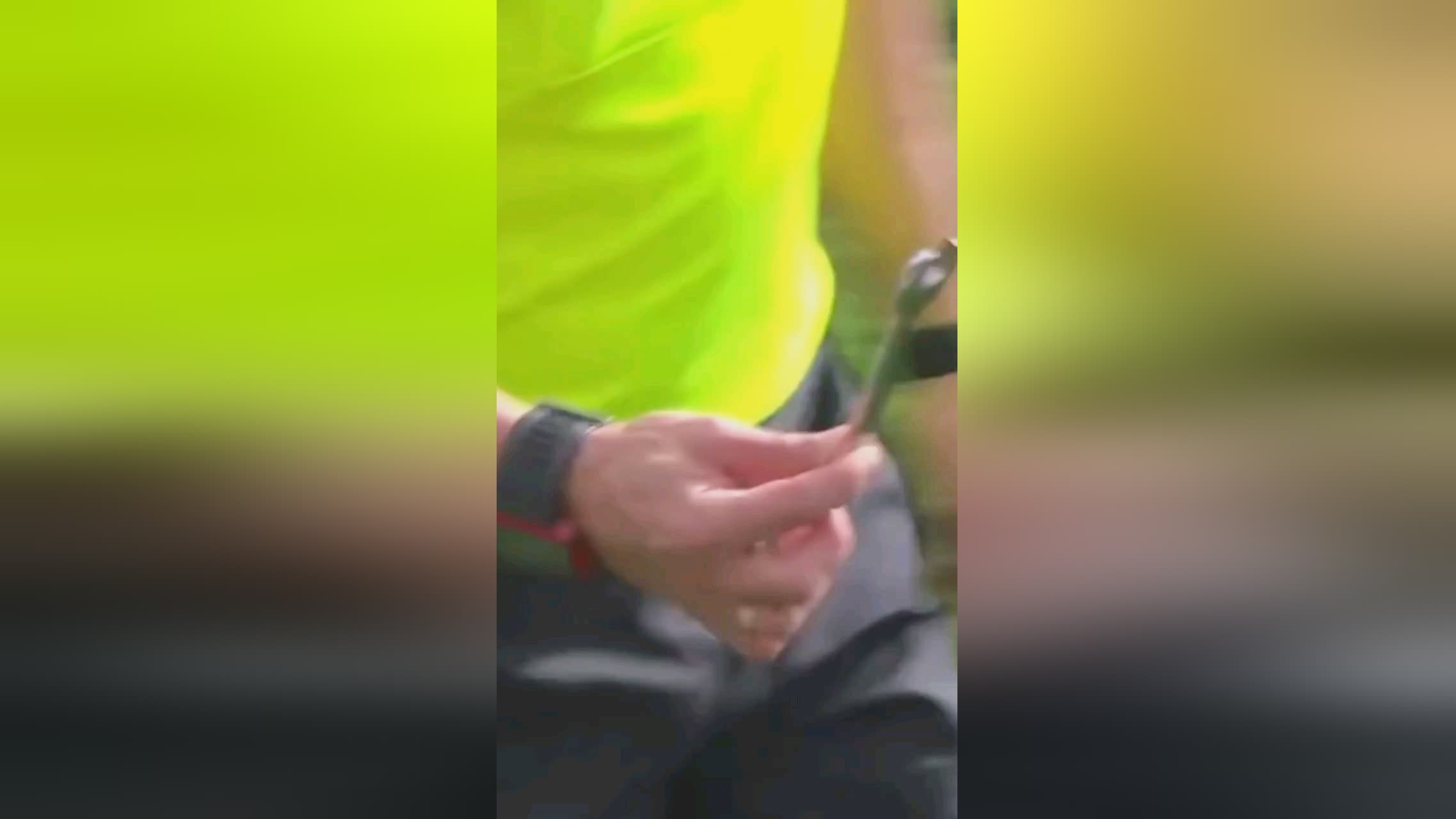 蒂安维特尔